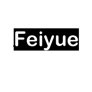 Feiyue