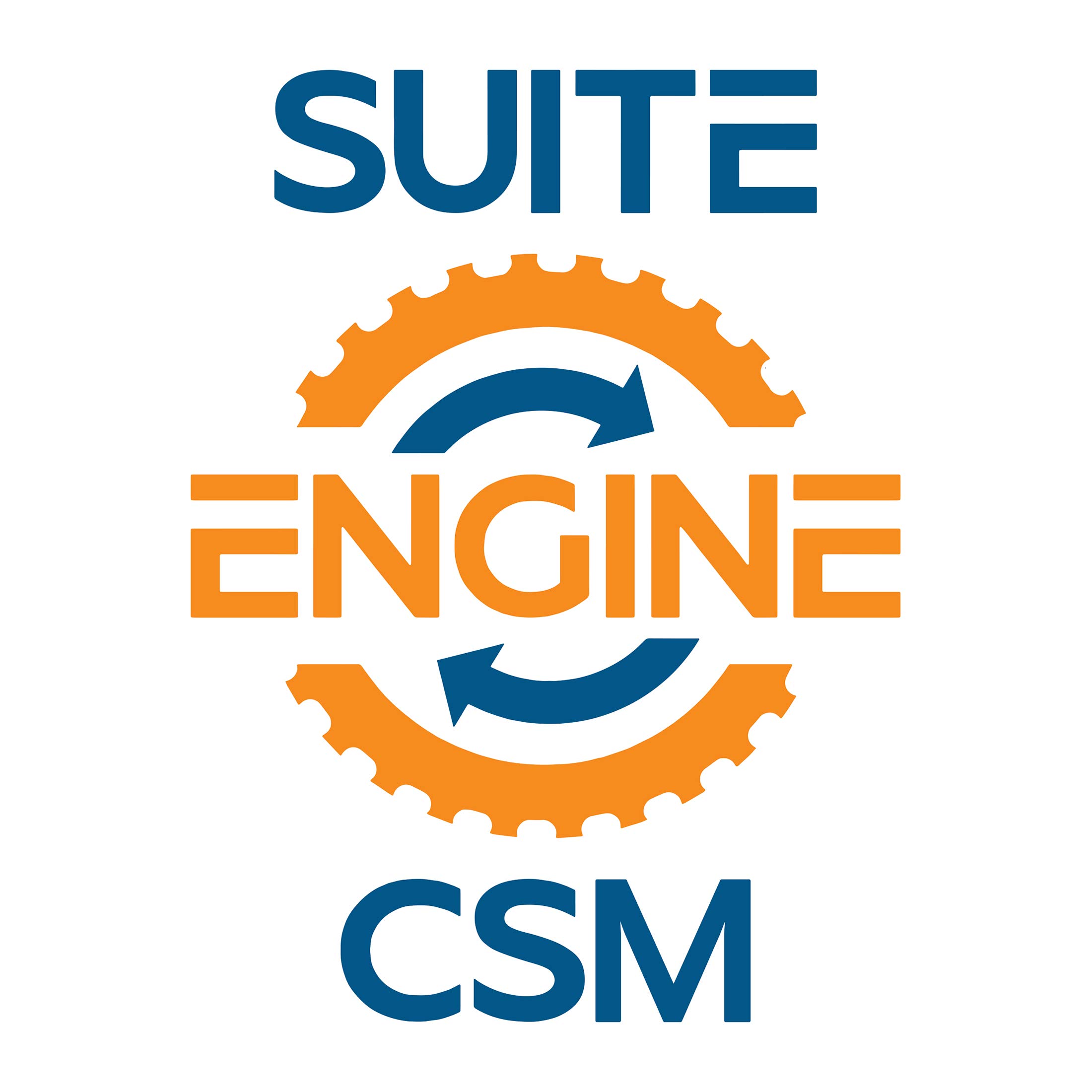 Channel Sales Manager (CSM) 