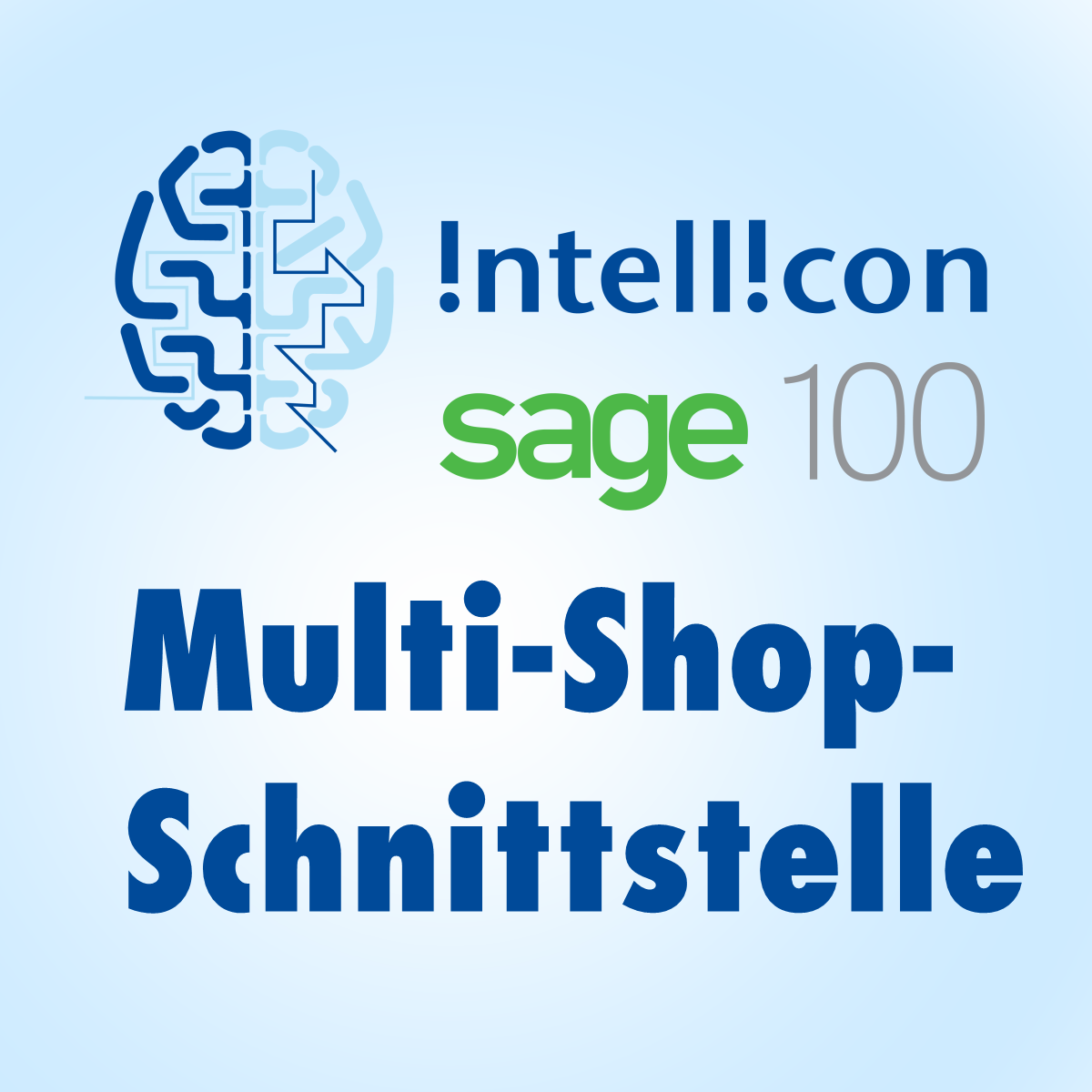 intellicon Multi-Shop-Schnittstelle