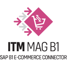 MAG B1 SAP Business One Integration